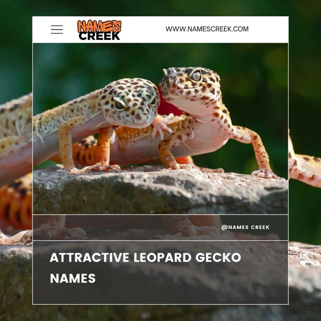 Attractive Leopard Gecko Names