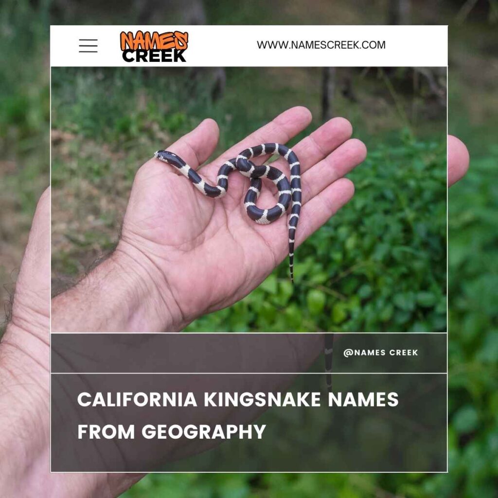 California Kingsnake Names from Geography