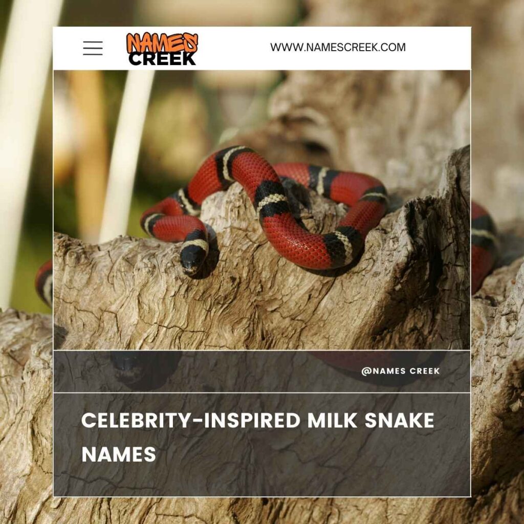 Celebrity-Inspired Milk Snake Names