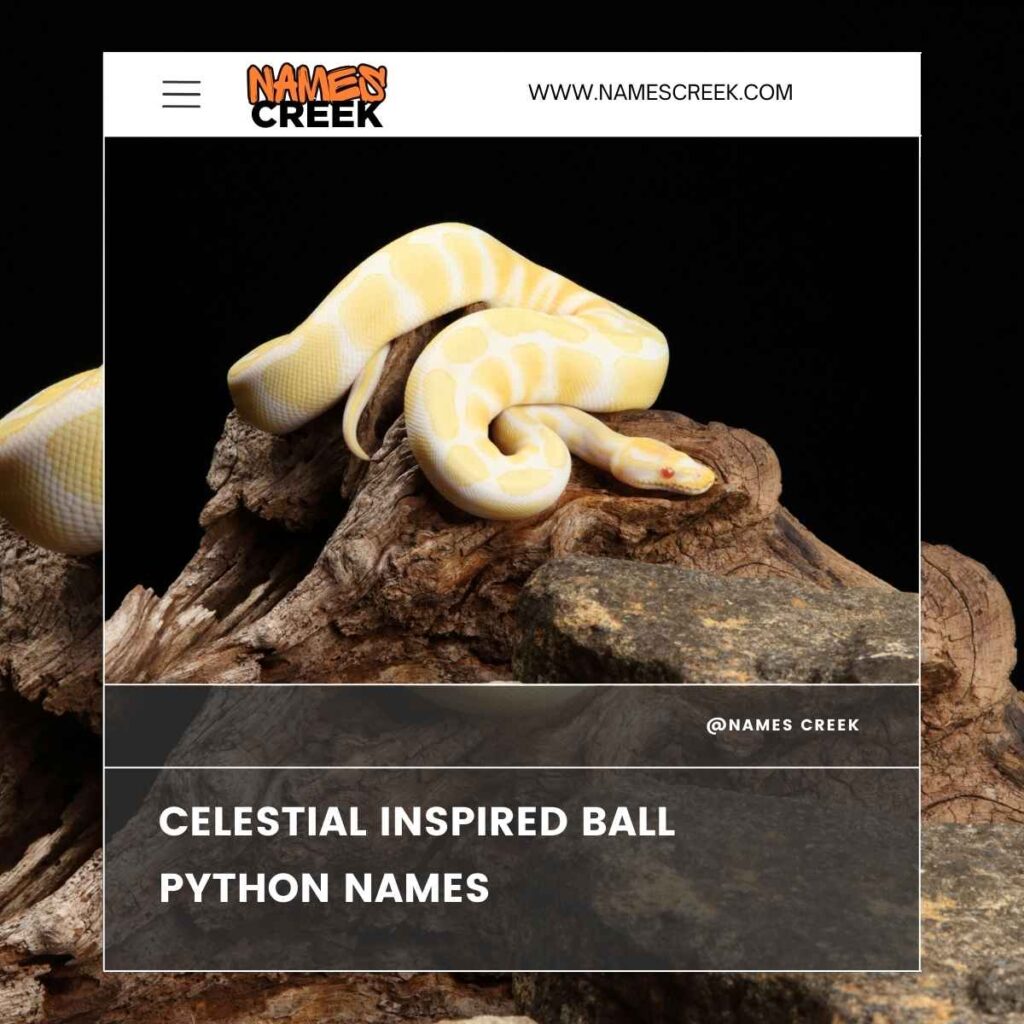 Celestial Inspired Ball Python Names