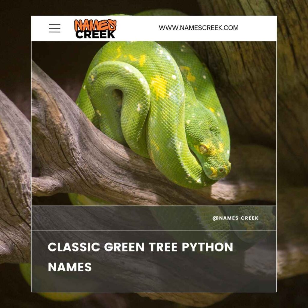 Classic Green Tree Python Names