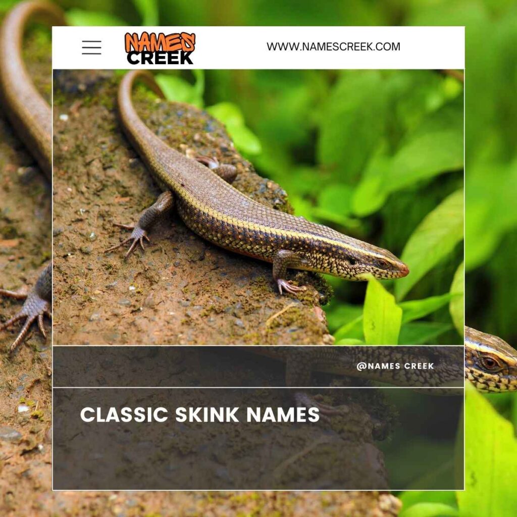 Classic Skink Names