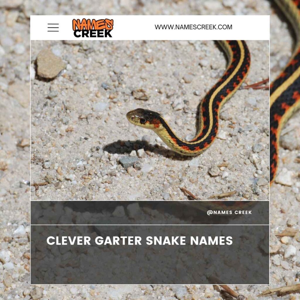 Clever Garter Snake Names