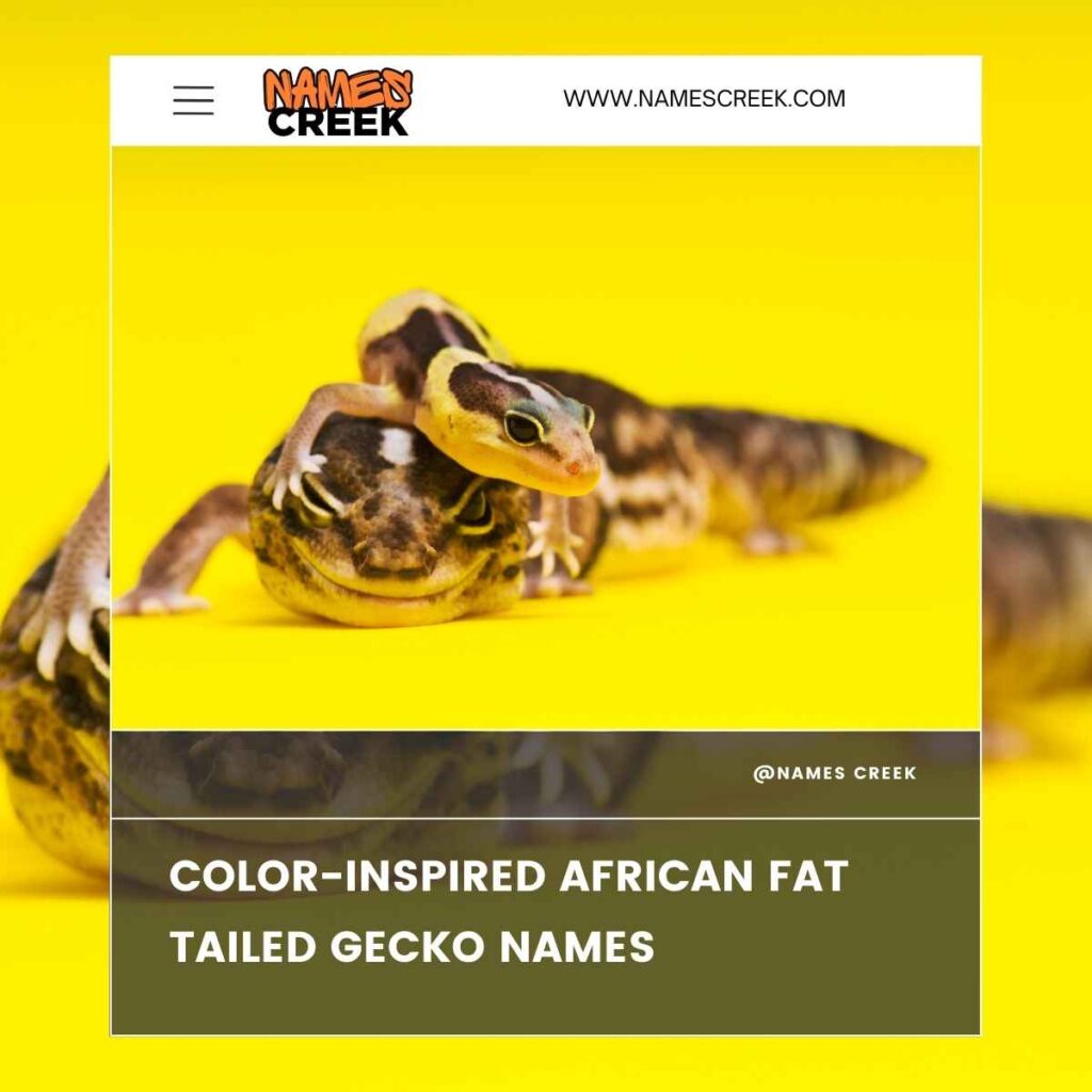 Color-Inspired African Fat Tailed Gecko Names