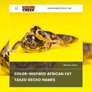 161+ African Fat Tailed Gecko Names