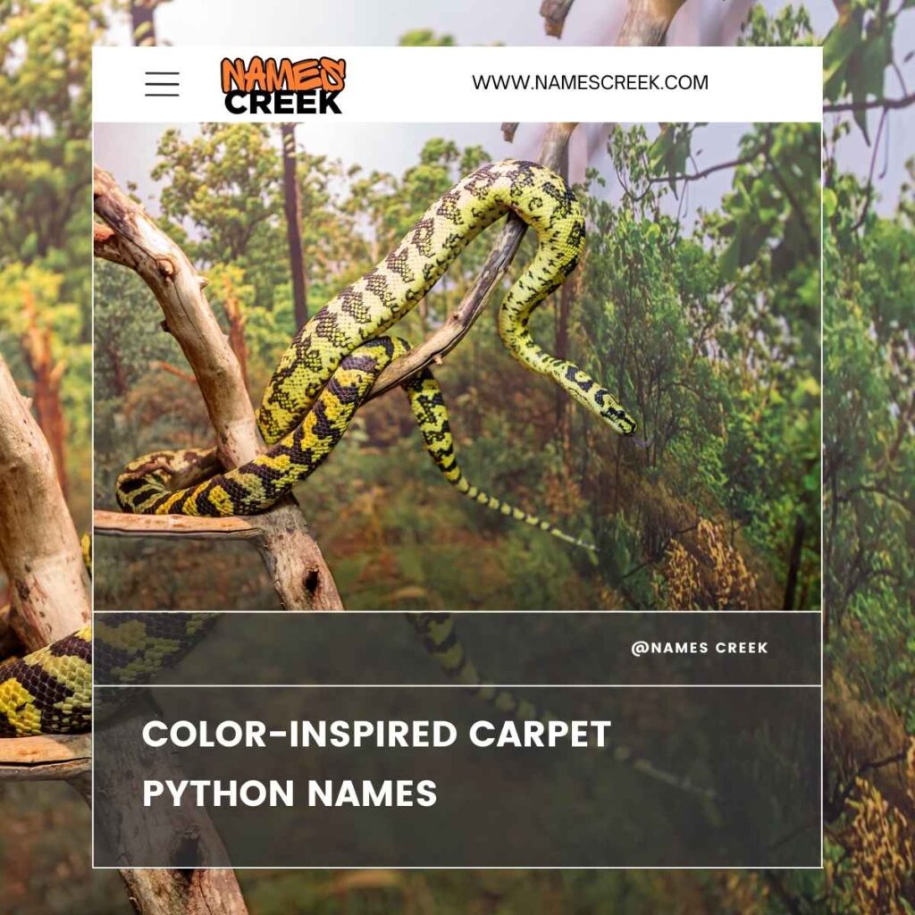 Color-Inspired Carpet Python Names