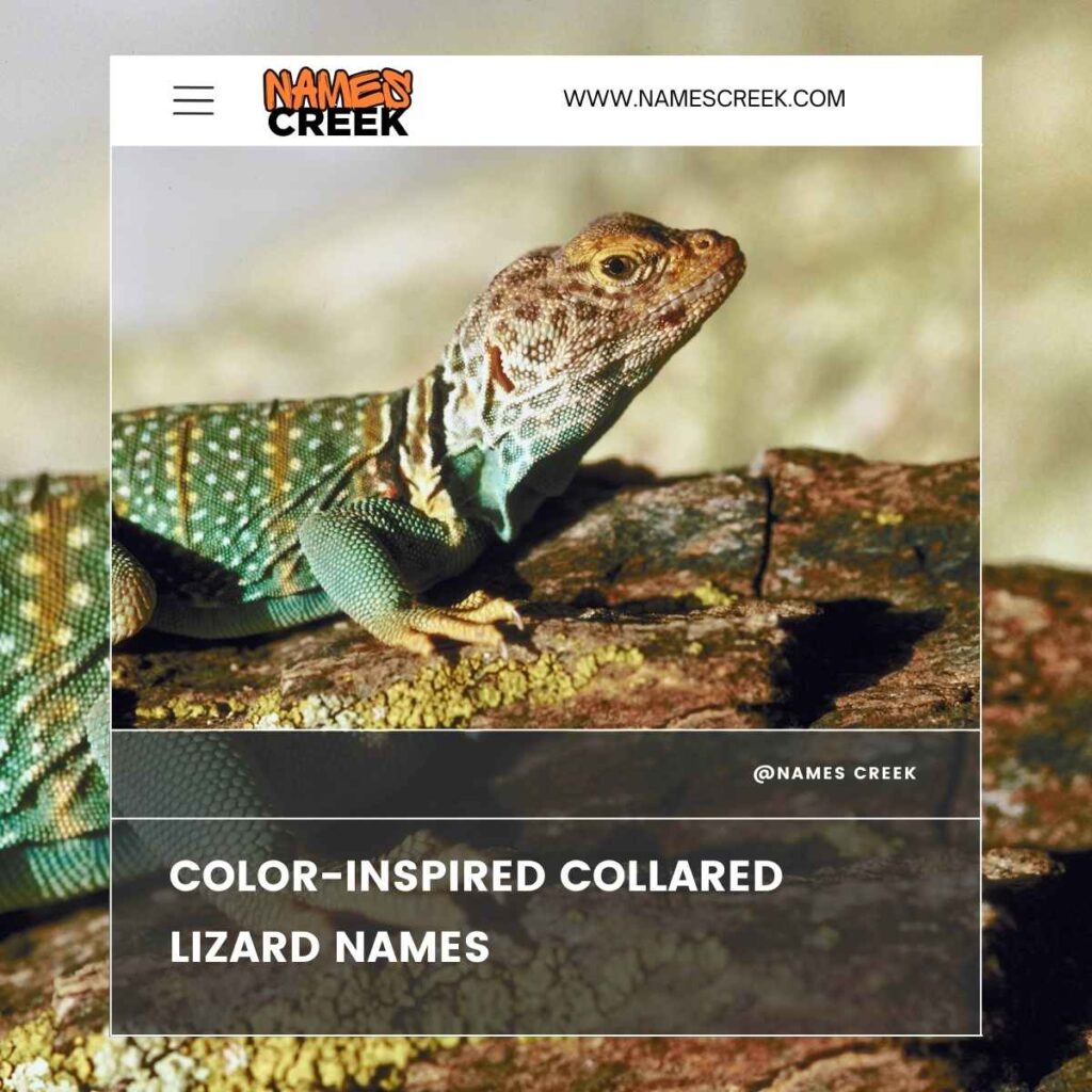 Color-Inspired Collared Lizard Names