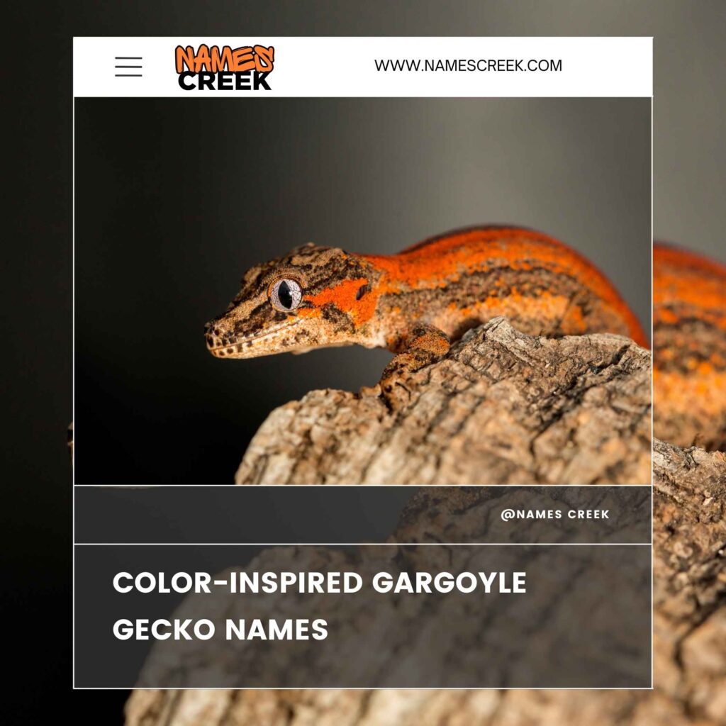 Color-Inspired Gargoyle Gecko Names