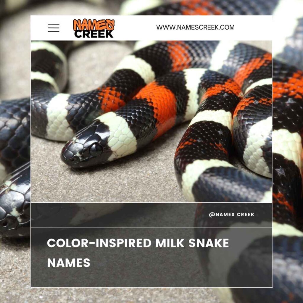 Color-Inspired Milk Snake Names