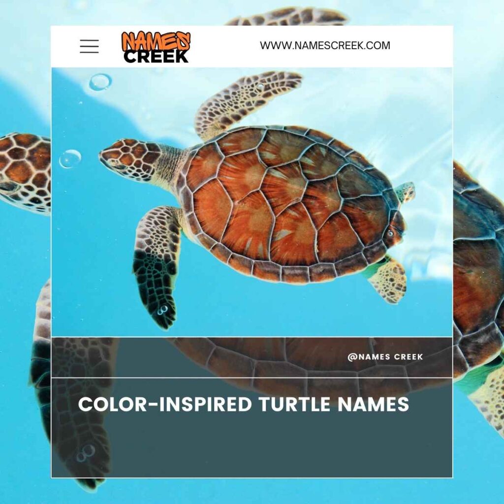 Color-Inspired Turtle Names