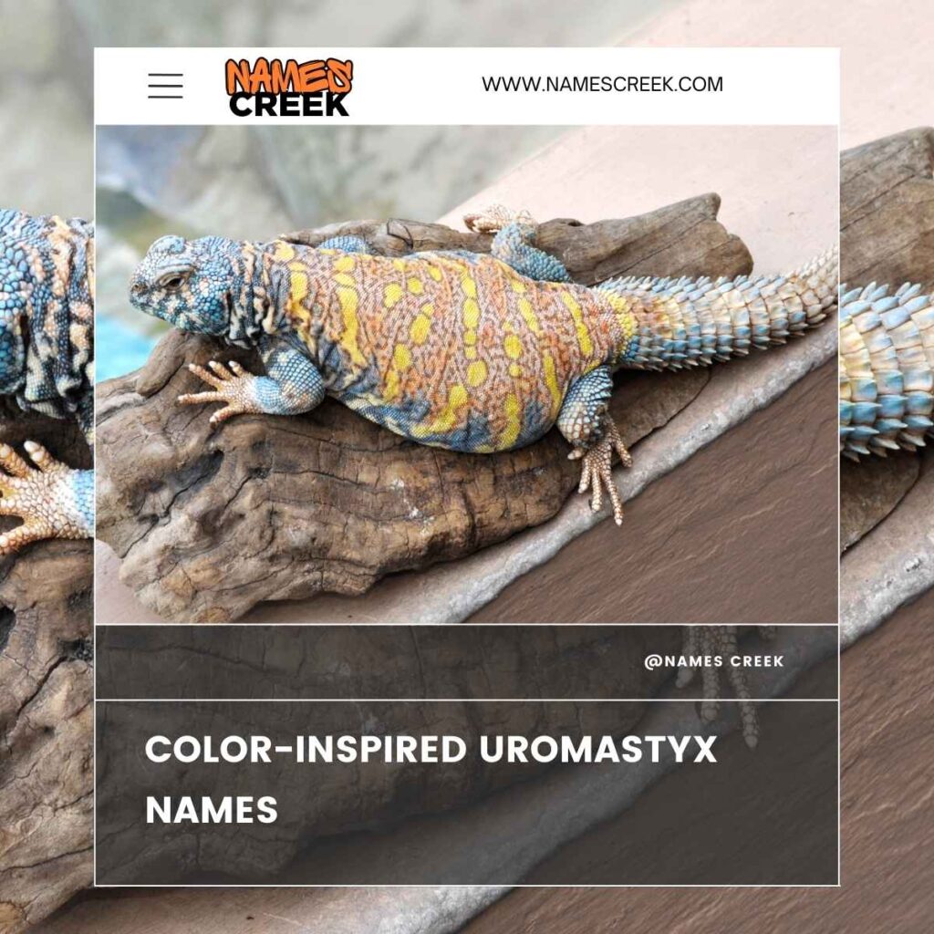 Color-Inspired Uromastyx Names