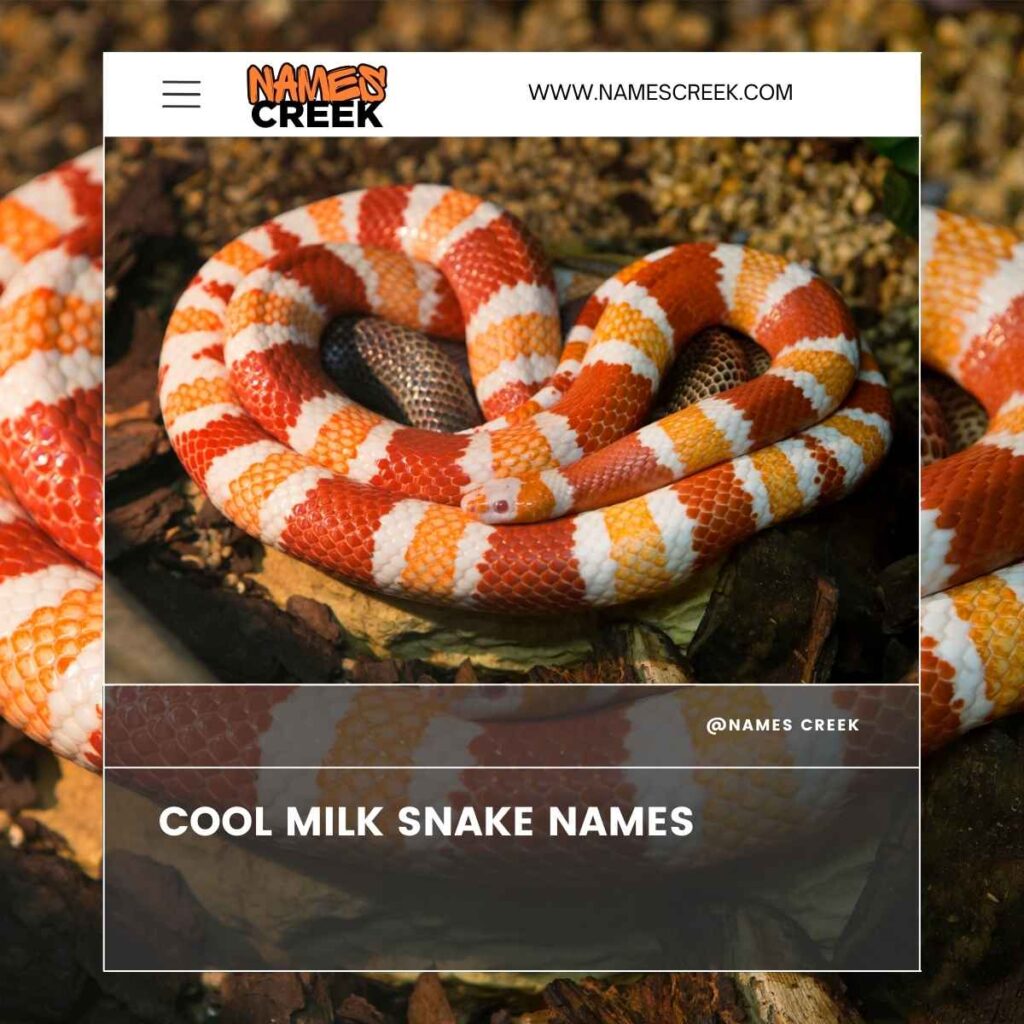 Cool Milk Snake Names