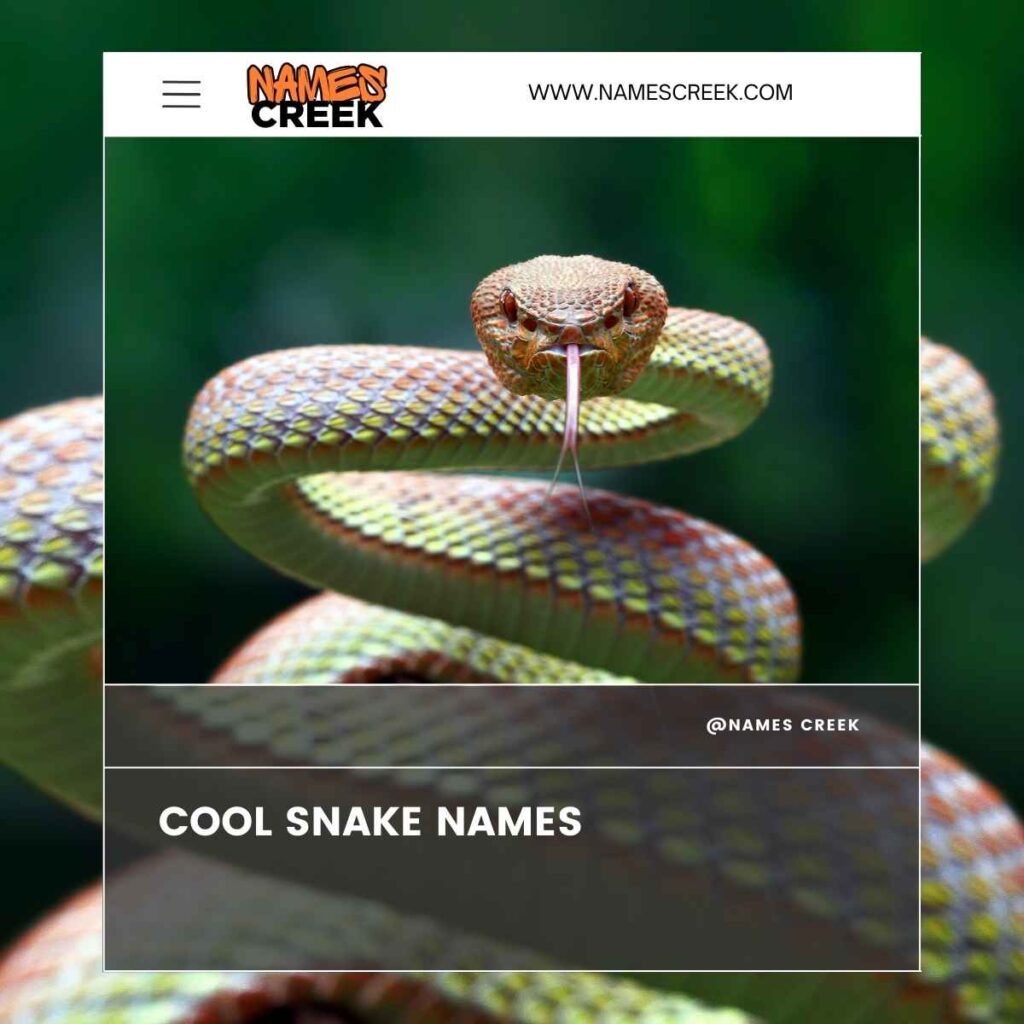 Cool Snake Names