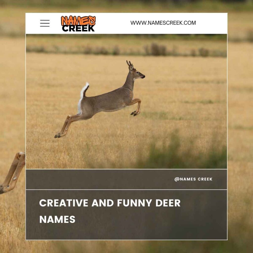 Creative and Funny Deer Names