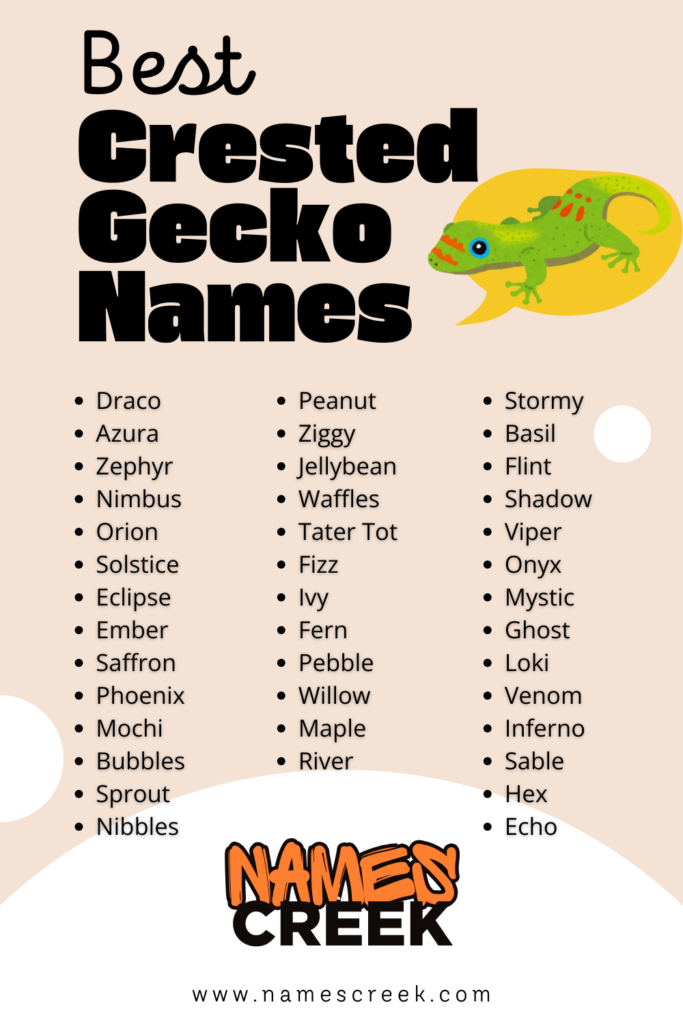 Crested Gecko Names