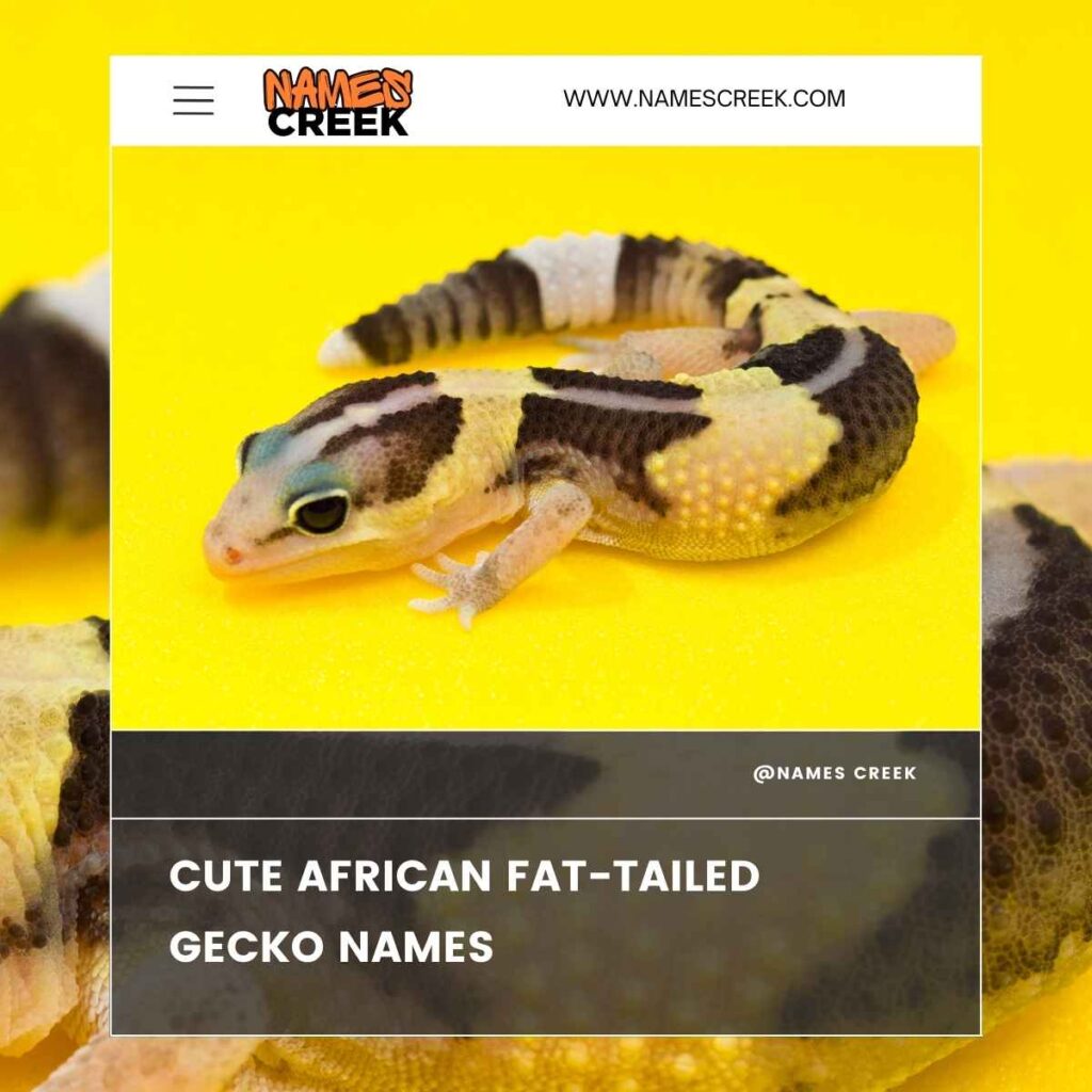 Cute African Fat-tailed Gecko Names