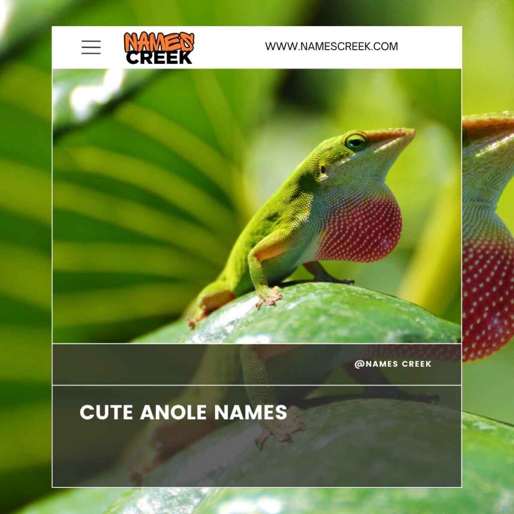 Cute Anole Names