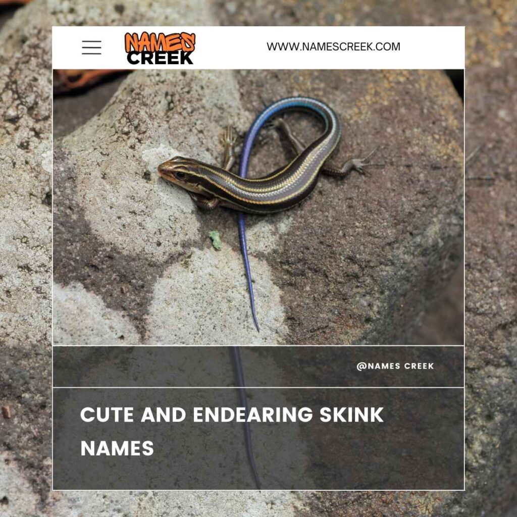 Cute and Endearing Skink Names