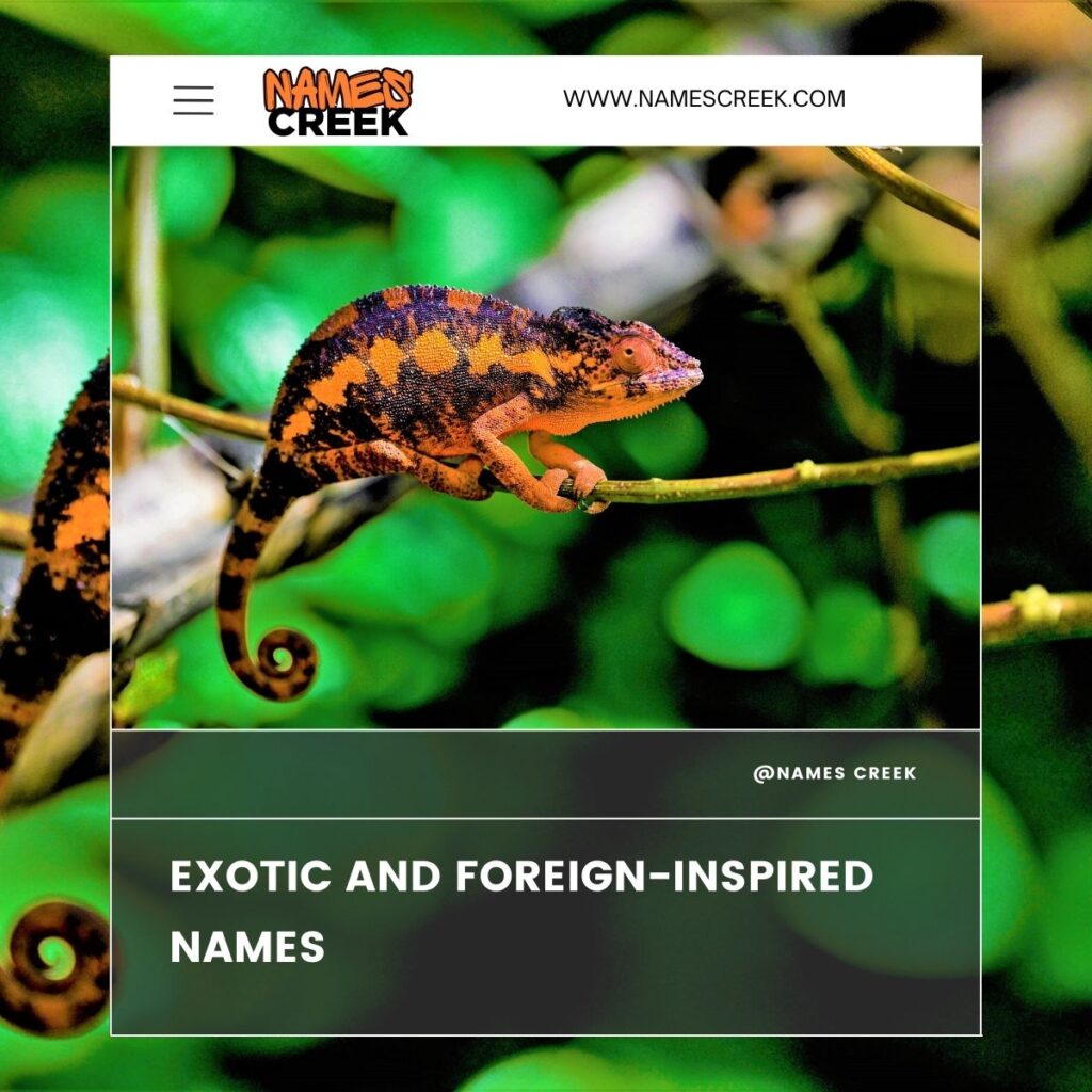 Exotic and Foreign-Inspired Names