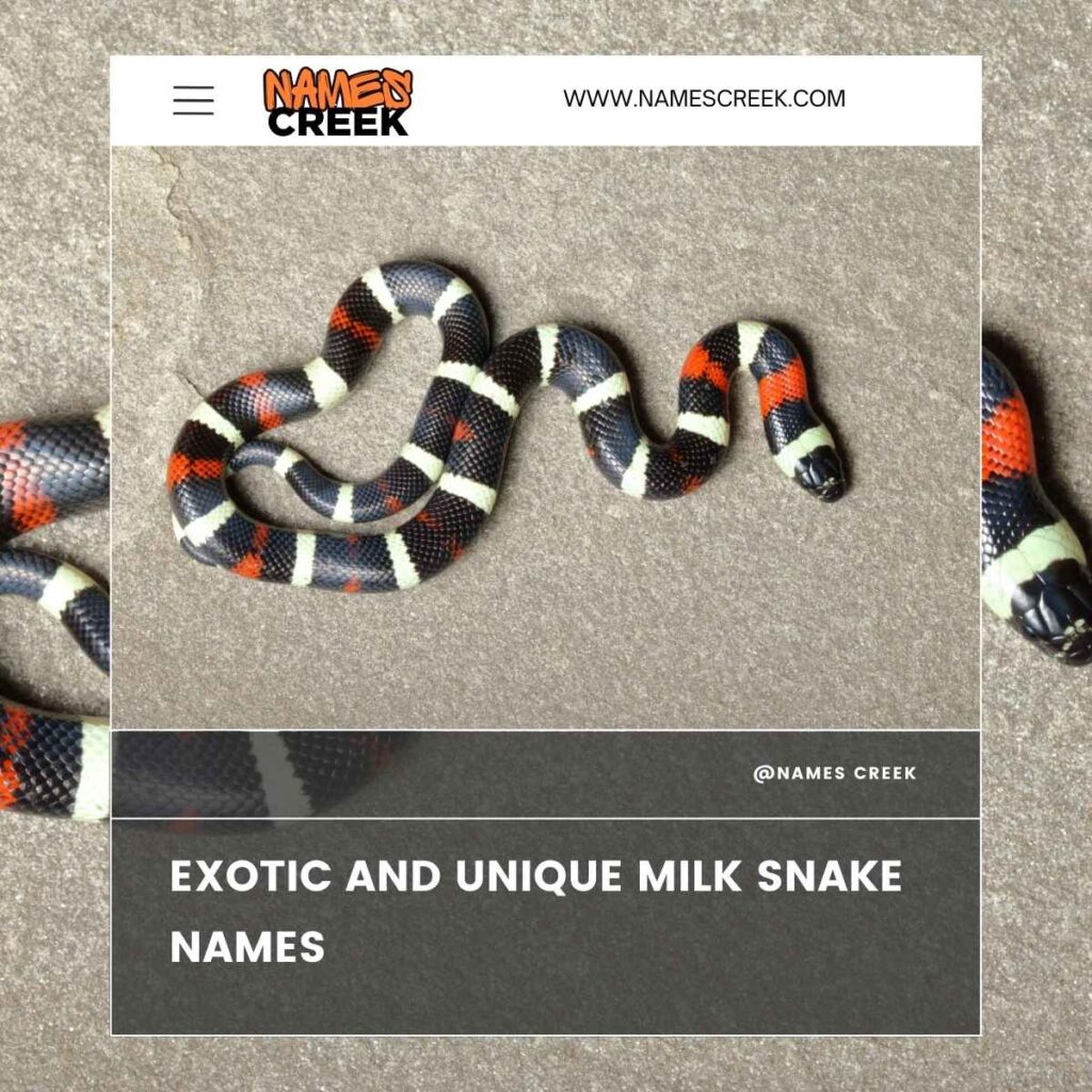 Exotic and Unique Milk Snake Names