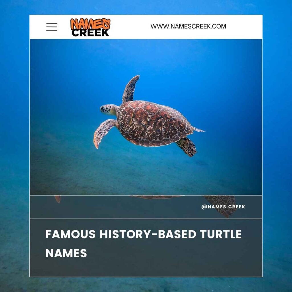 Famous History-Based Turtle Names