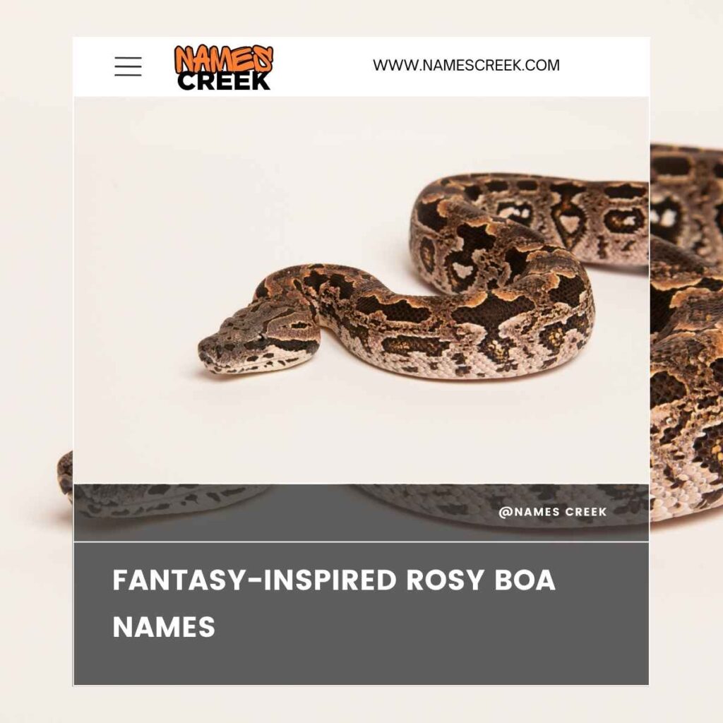 Fantasy-Inspired Rosy Boa Names