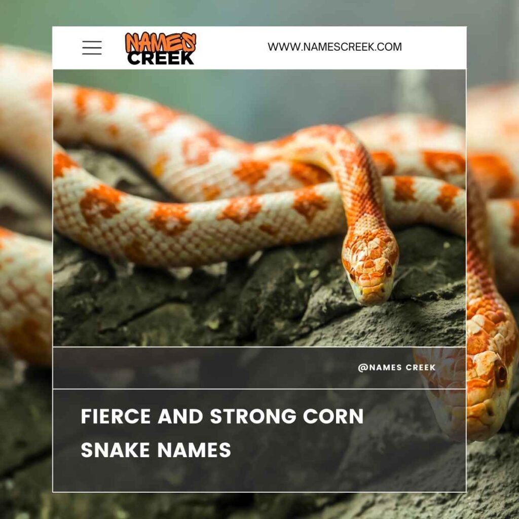 150 Cute And Sassy Corn Snake Names