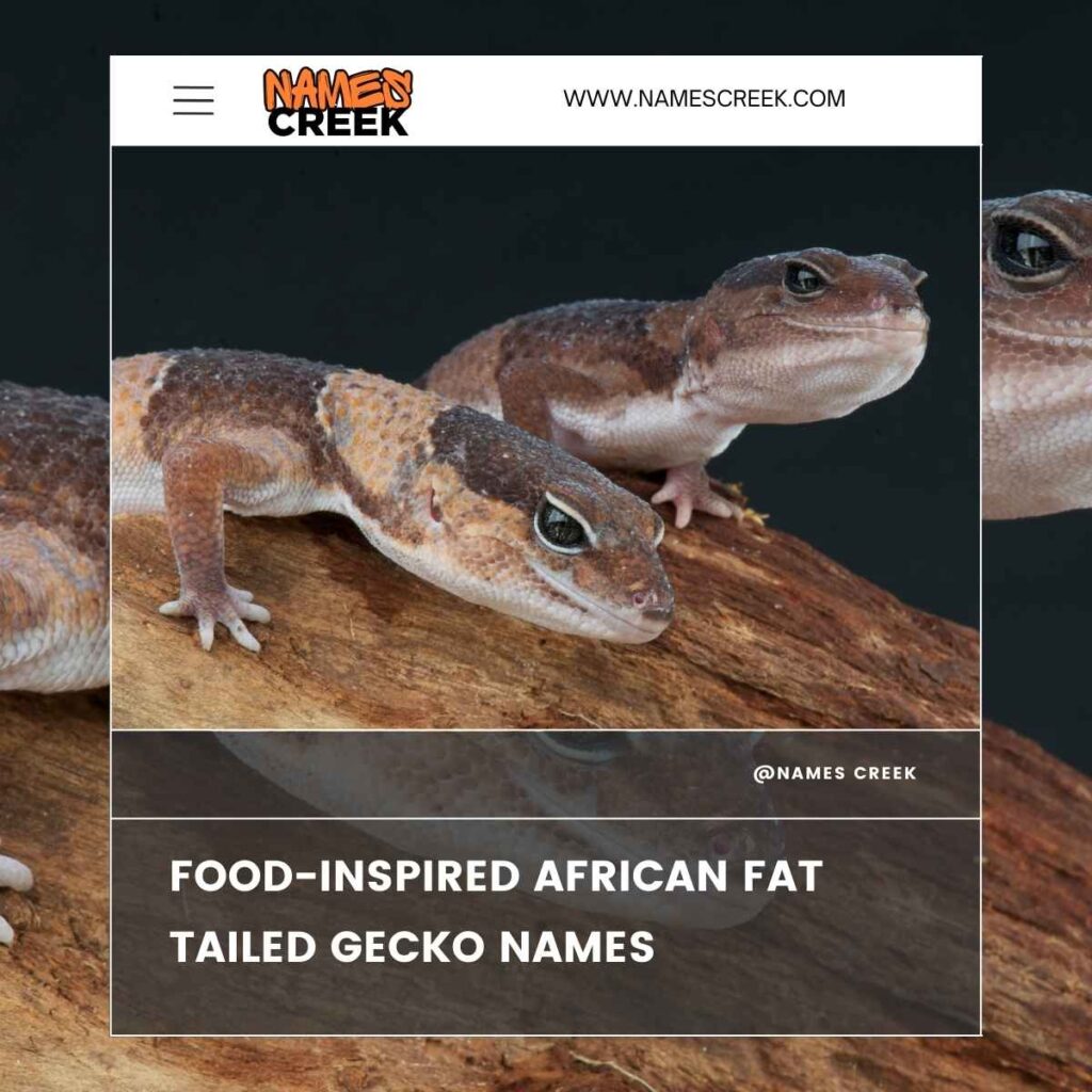 Food-Inspired African Fat Tailed Gecko Names