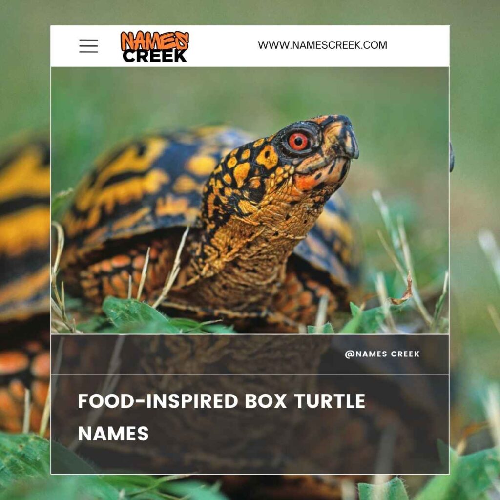 Food-Inspired Box Turtle Names