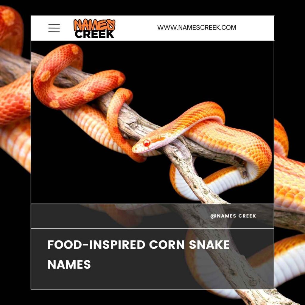 Food-Inspired Corn Snake Names