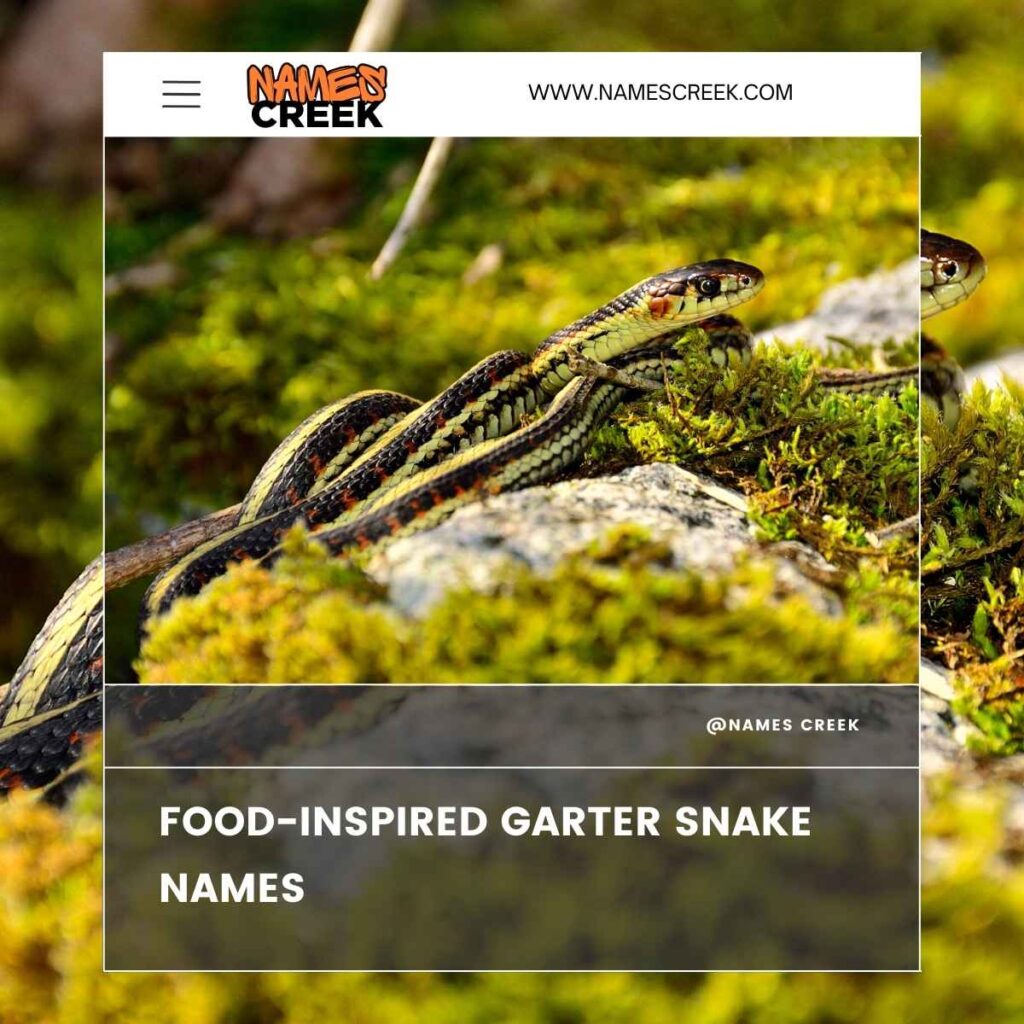 Food-Inspired Garter Snake Names