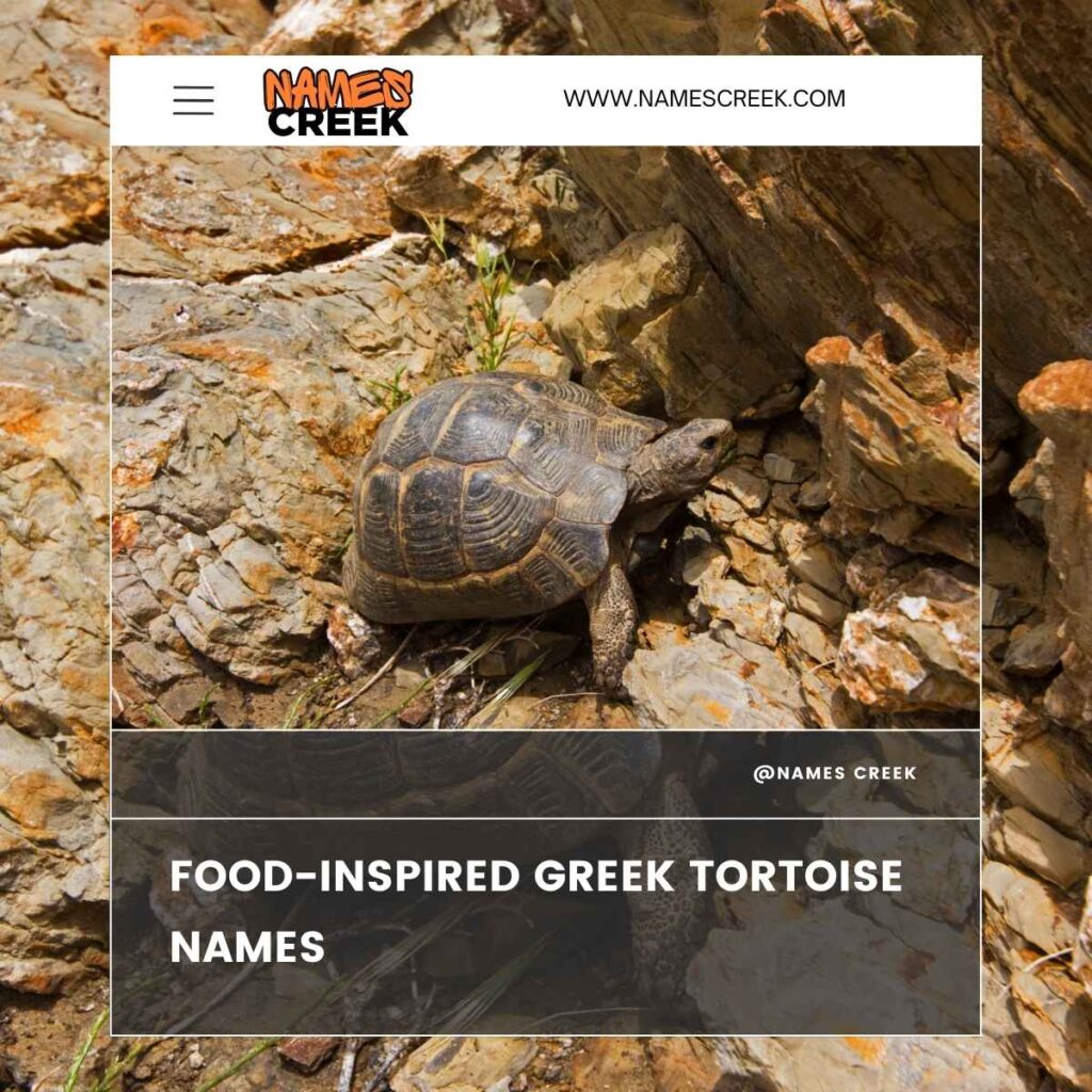 Food-Inspired Greek Tortoise Names