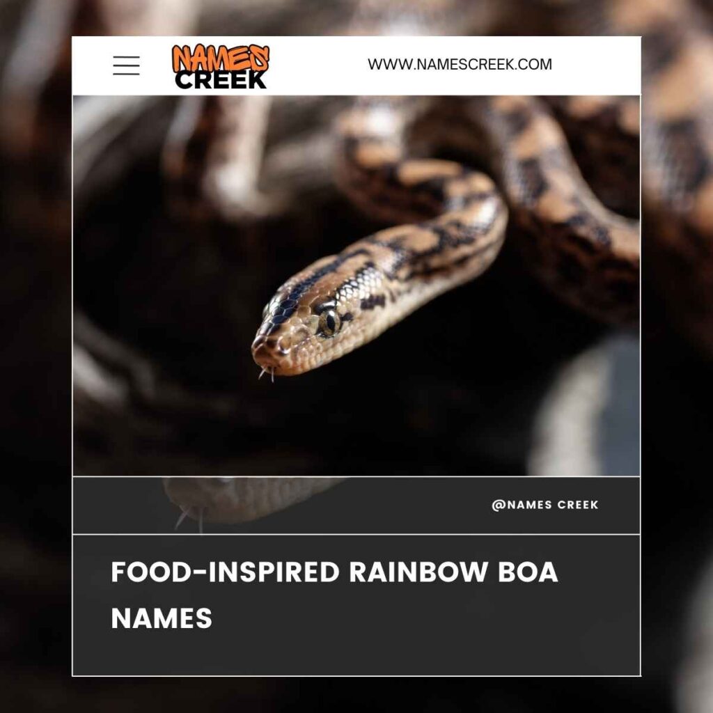 Food-Inspired Rainbow Boa Names