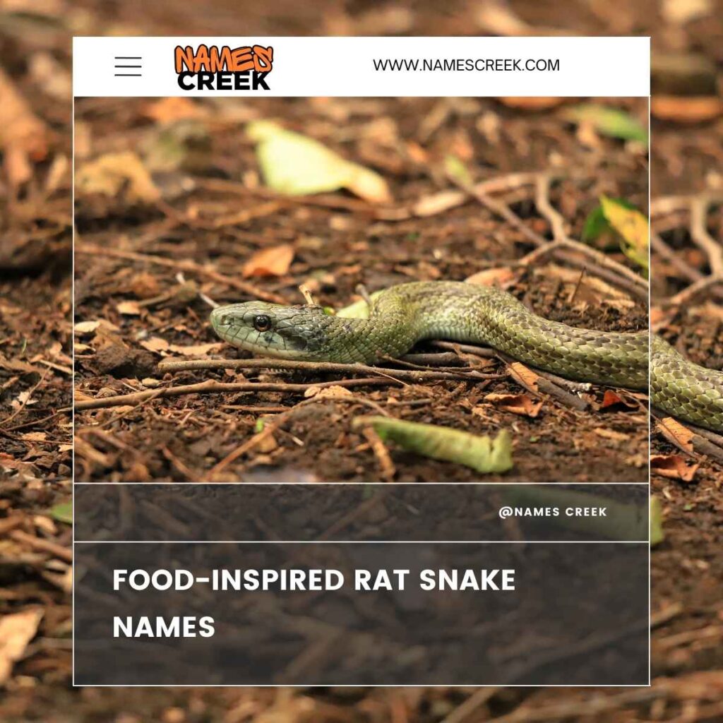 Food-Inspired Rat Snake Names