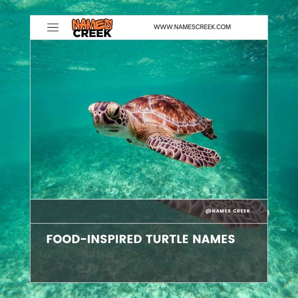 Food-Inspired Turtle Names