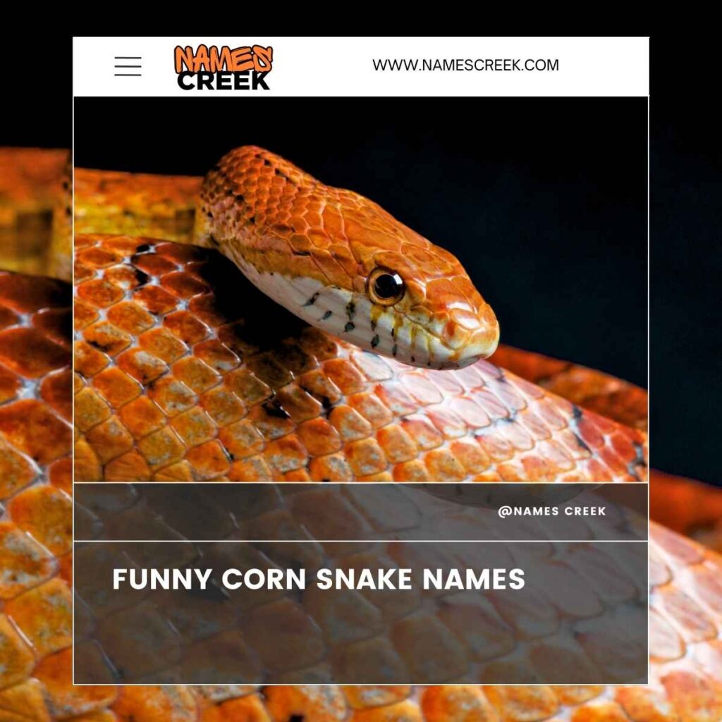 Funny Corn Snake Names