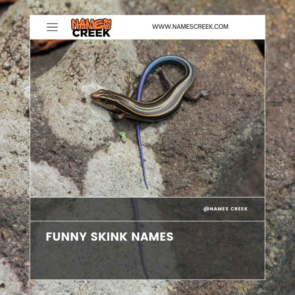 Funny Skink Names