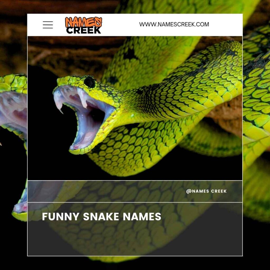 Funny Snake Names