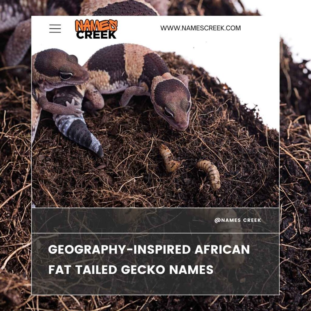 Geography-Inspired African Fat Tailed Gecko Names