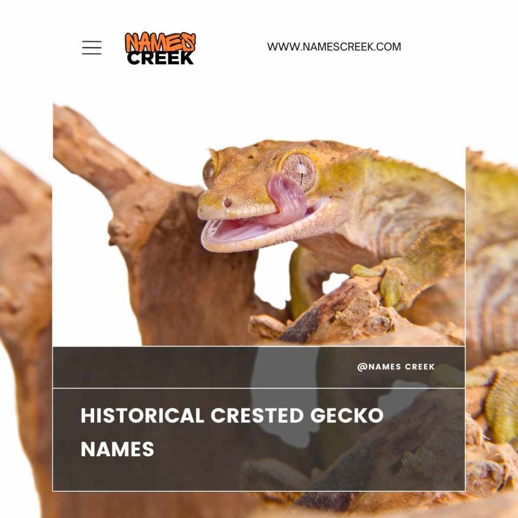 Historical Crested Gecko Names