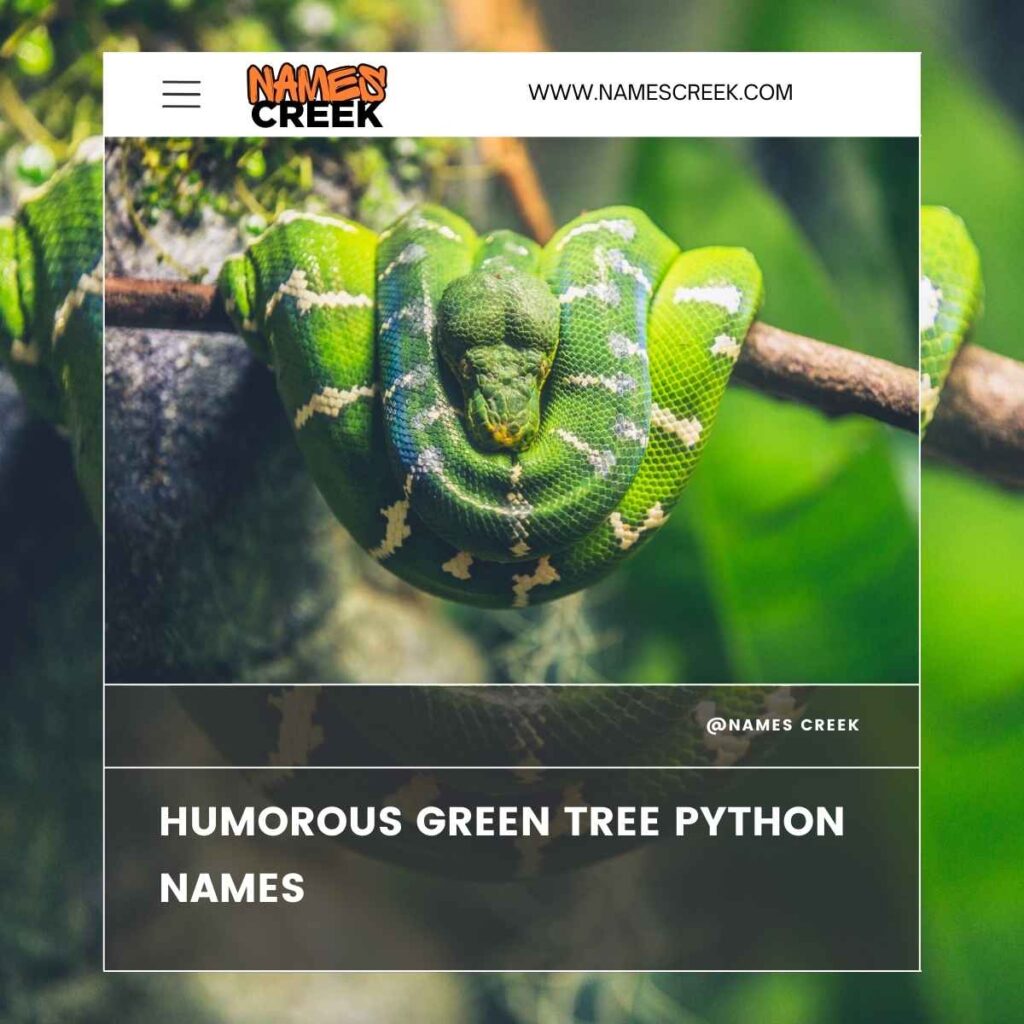 Humorous Green Tree Python Names