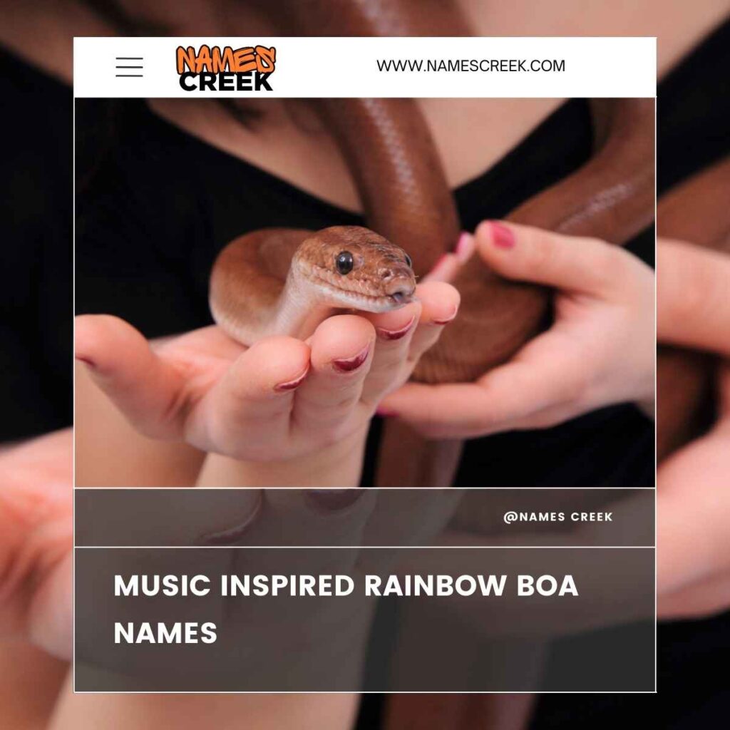 Music Inspired Rainbow Boa Names