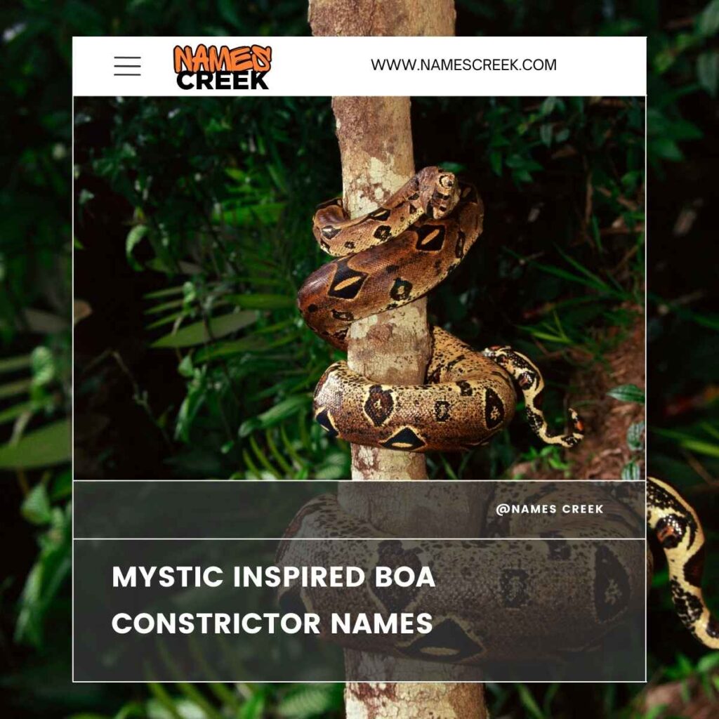 Mystic Inspired Boa Constrictor Names