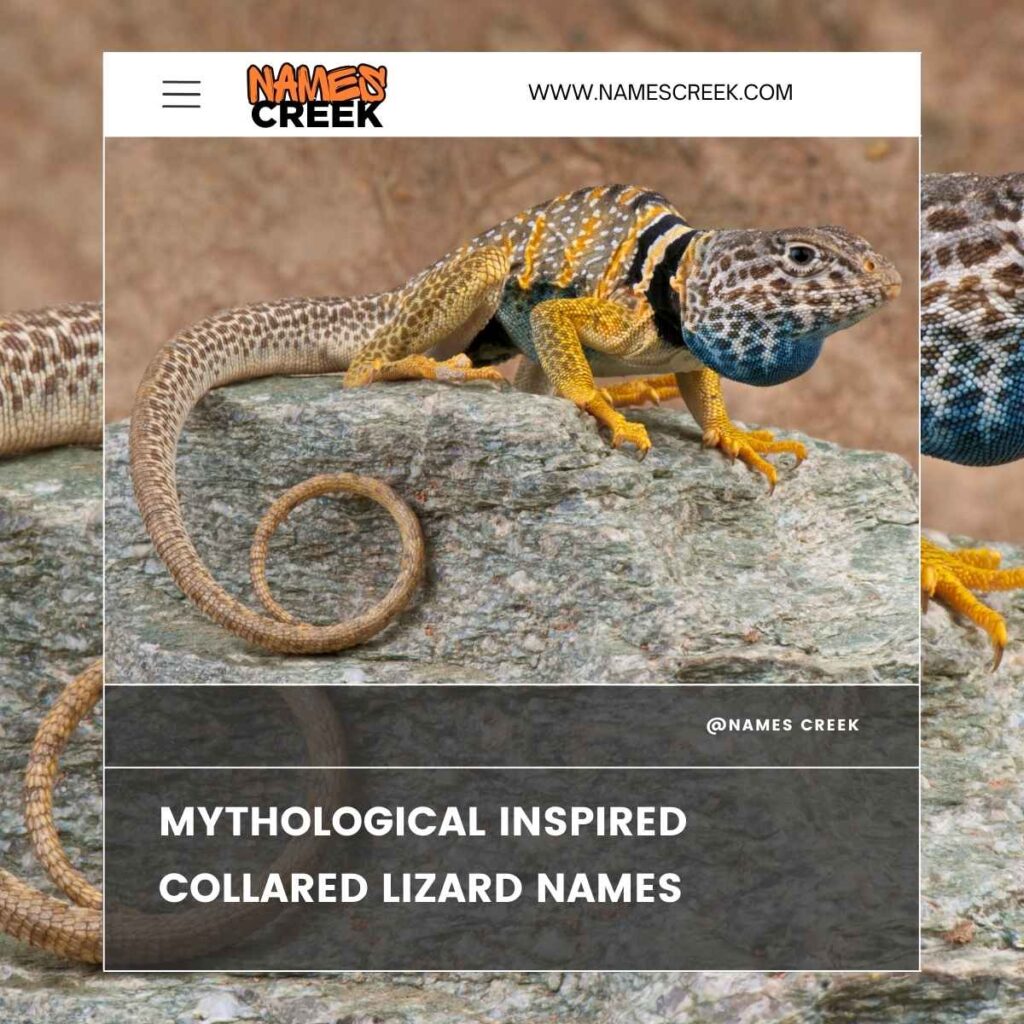 Mythological Inspired Collared Lizard Names