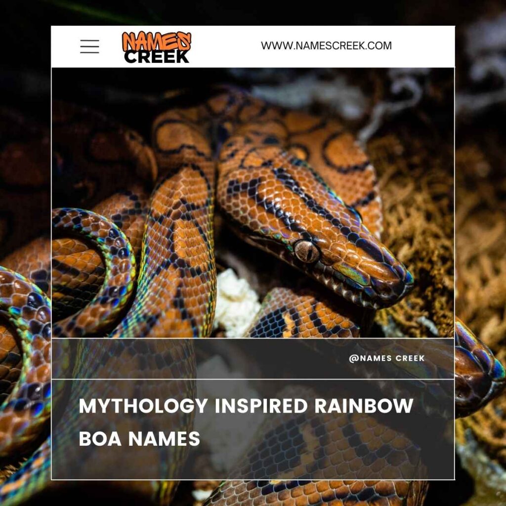 Mythology Inspired Rainbow Boa Names