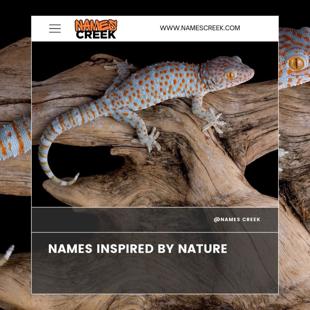 Tokay Gecko Names Inspired by Nature