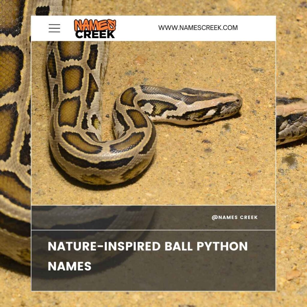 Nature-Inspired Ball Python Names