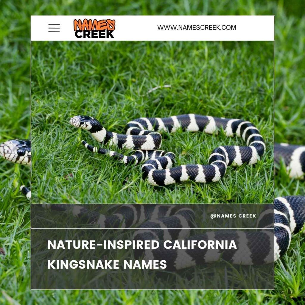 Nature-Inspired California Kingsnake Names