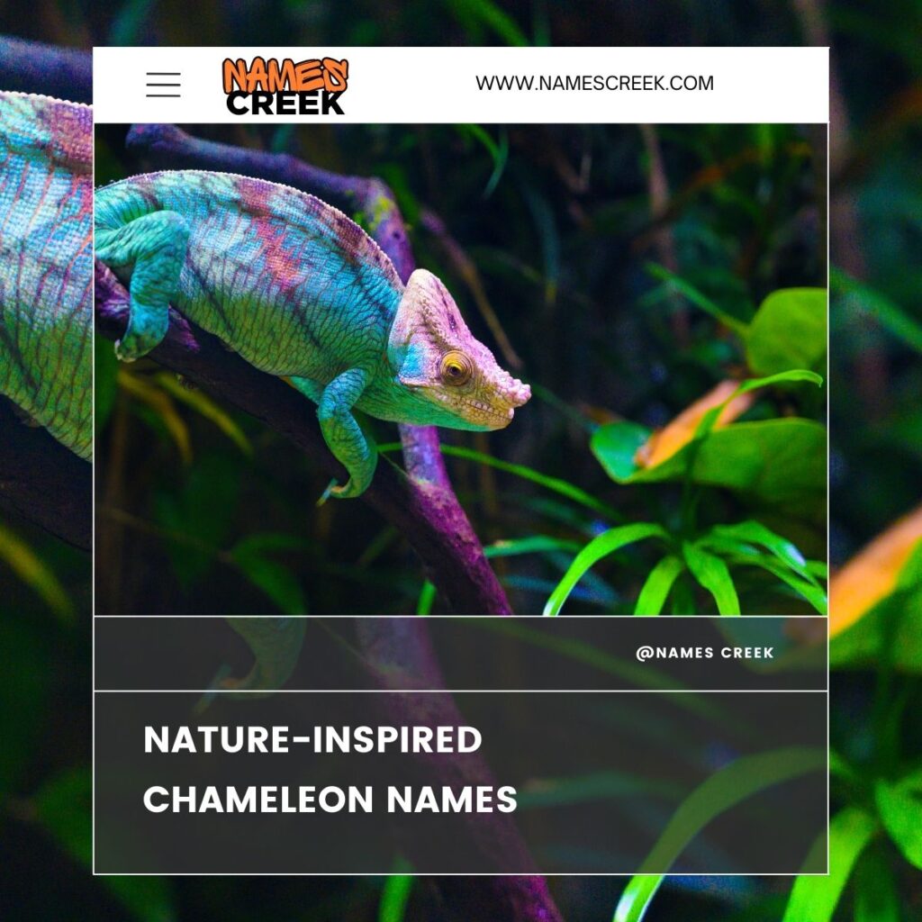 Nature-Inspired Chameleon Names