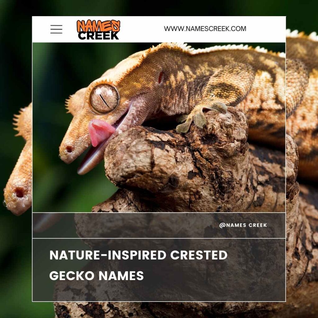 Nature-Inspired Crested Gecko Names